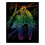 Rainbow Engraving Art Animals Box Set 6 Piece 3