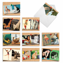 The Best Card Company - 10 Lustige Leere Grußkarten für Frauen (4 x 5,12 Zoll) - Box Assortiment