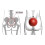 Pelvic Clock Exercise Device for Chronic Hip & Lower Back Pain Relief 5