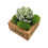 LJY 12 Pezzi Rocce Decorative di Muschio Artificiale per Giardini Fatati e Crafting 3