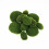 LJY 12 Pezzi Rocce Decorative di Muschio Artificiale per Giardini Fatati e Crafting 2