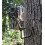 Browning Trail Camera Economy Camera Mount (3-Pack) 2
