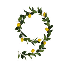 Props Glasraí Réalaíocha le haghaidh Searmanas Bainise, Garland Torthaí Saorga le Maisiúcháin Líomóide Réalaíocha, Maisiúcháin Tábla