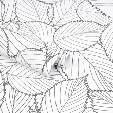 Kitico Papier peint  feuilles grises 45 x 497 cm - Papier peint moderne  dcoller et  coller - Papier peint autocollant amovible blanc et feui