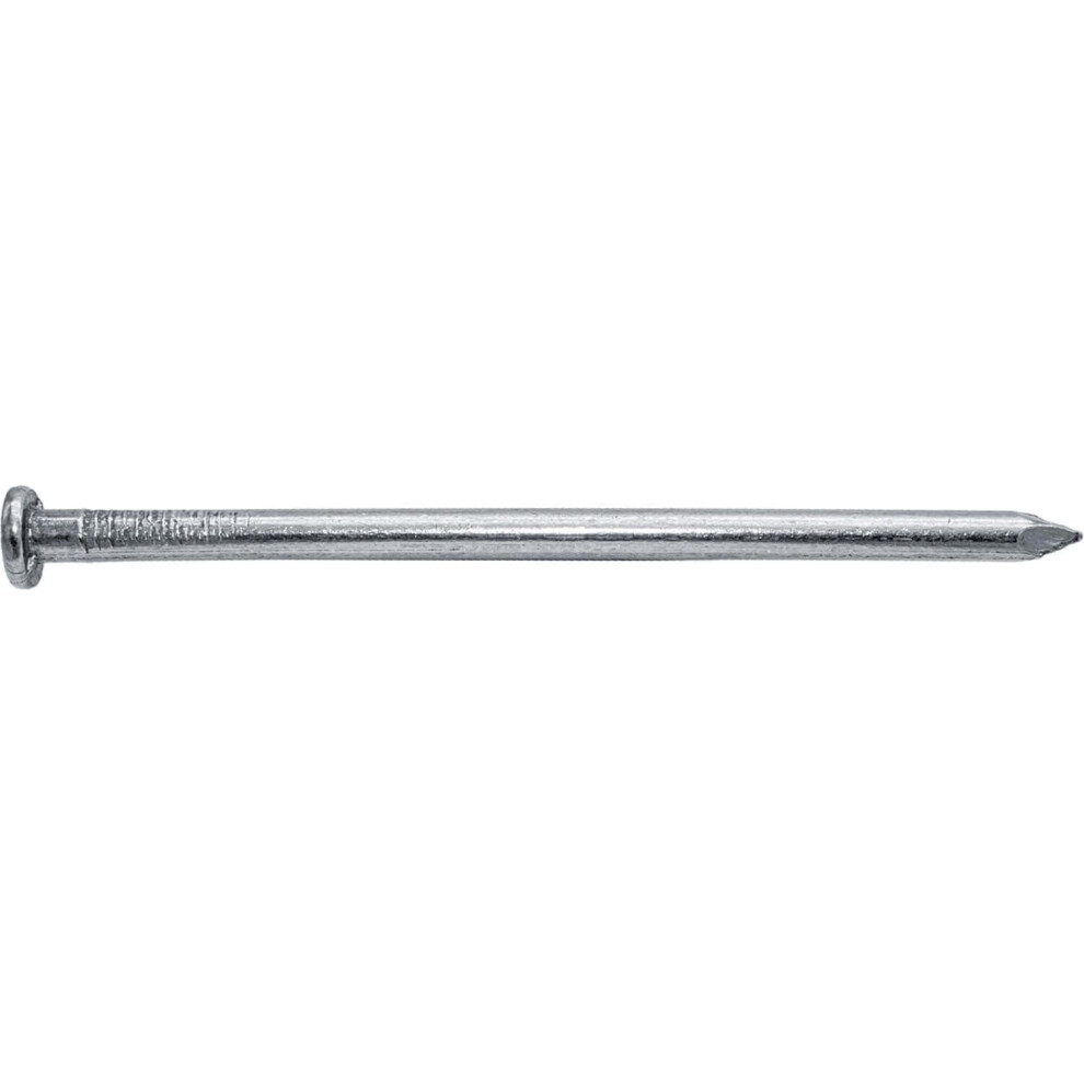 4 Inch Bright Common Nail (20D) 5 Pounds ~140 Nails. Good For General Construction Projects 840129215561