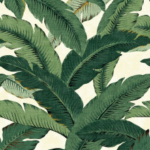 Tommy Bahama - Premium Peel and Stick Wallpaper Designer Tropisch Behang voor Slaapkamer Dorm Room Essentials Zelfklevend Vinyl 30,75 Sq Ft Dekking (