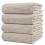 POLYTE Microfiber Oversize Quick Dry Lint Free Bath Towel  60 x 30 in 1