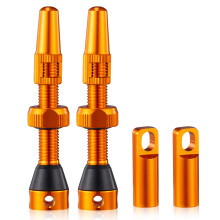 HZJD 2PCS Tubeless ventielen Oranje legering Presta-ventielsteel Ge?tegreerd kernverwijderingsgereedschap (44 mm)