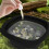 Quick Cooling Foldable Face Ice Bath Bowl with-Pink color 6