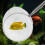 Fish Landing Net Telescopic Net and-black round large 5