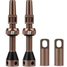 BWSHLF Tubeless Presta-Ventilschaft 40/44/55/60/65/70/80/100 mm Presta-Ventilschaft-Set aus superleichter Legierung mit Ventilkern-Entferner-Werkzeug