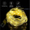 (coloured light8m) Outdoor Waterproof Portable Stowable String Light Camping String Lights-eyzi 2