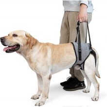 (XL) Dog Sling For Large Dogs Hind Leg Support To Help Rehabilitate The Hind Limbs Of Elderly Dogs With Weak Hind Legs Disabilities