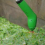 Trådløs mini-ugresstrimmer 20V litiumbatteri lett gresstrimmer for hagekantklipping 1