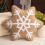 Christmas Snowflake Pattern Throw-Dark brown star anis 42CM 4