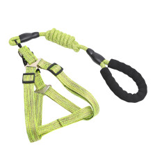Dog Leash for Small Medium and Large Dogs D-Green XL size