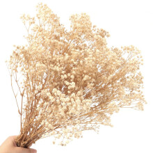 Preserved Gypsophila Bouquet for Vase Display, Reusable Hand-Trimmed Dried Wedding Flowers Naturally Soft Fluffy Arrangement, Real Touch Long Lasting