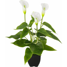 Fleur artificielle pour la décoration de la maison ou du bureau, plante artificielle portable, légère et facile d'entretien à l'aspect réaliste,