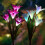 (5#) Multi-Color Artificial Lily Solar Power LED Garden Lawn Light Yard Decor Lamp 3