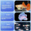 Plastic Mesh Aquatic Nursery Hatchery Box For Guppy-L Blue 6