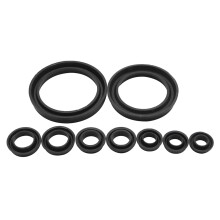 Hydroboost Reparaturkit für Ford GM Chrysler Dichtungswechsel Hydro-Boost-System