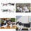 Creative Simulation Cat Pillow 3D Cat-black backed cat 27X16 3