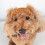 Lovely Cat Bomber Hat Earflaps Adjustable Headwear-Black M 6