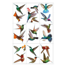 Side Printed Window Clings for Bird Safety, Reusable Window Stickers Hummingbird Design, Easy To Stick and Re-Use Non Adhesive Vinyl Cling, Anti-Coll