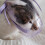 Pet Muzzle Cat Grooming Muzzles Small Animal PVC Transparent-L 7