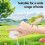 Ergonomic Bird Shipper Pack For Small Parrots Features 6