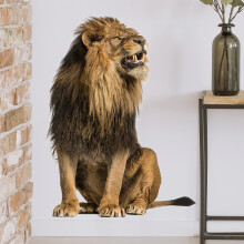 Printed Artwork for Your Walls, Lion Pictures Self Adhesive Door Stickers, Easy to Stick and Remove Without Harm for Your Interior Spaces