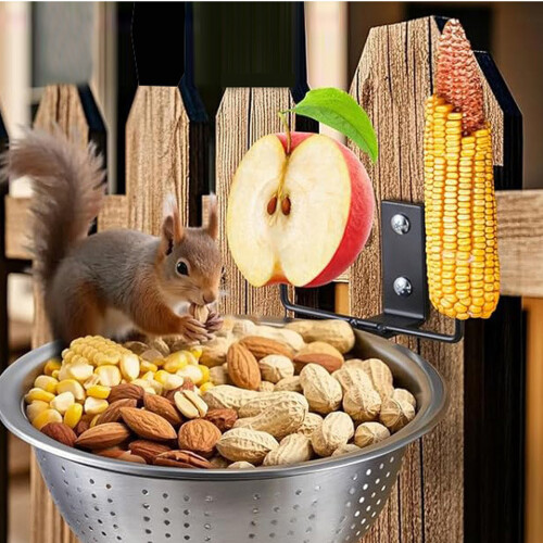 Iron Squirrels Feeding Platform Easy Installation Hanging 1