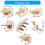 Interactively Cats Wall Climbings Shelf NonSlip Pad-style5 4