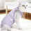 Prevent Lick Post Spay Feline Garment Comfortable-Light Green L 5
