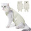 Prevent Lick Post Spay Feline Garment Comfortable-Light Green L 2
