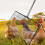 Chicken Litter Scooper Telescoping 43 to 69inch Handle Litter 4