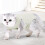 Prevent Lick Post Spay Feline Garment Comfortable-Light Green L 4