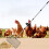 Chicken Litter Scooper Telescoping 43 to 69inch Handle Litter 2
