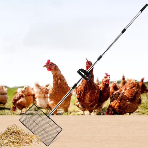Chicken Litter Scooper Telescoping 43 to 69inch Handle Litter 1