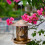 Rustproof Metal Wild Bird Feeder Feeding-Dragonfly bird feede 7