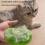 10Pieces Cats Itching Relief Tool Adjustable Furniture-Pink 3