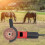 Durability Hoofs Trimming Disc Multipurpose Hoofs Trimming 5