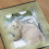 Summer Cats House Reusable Ice Packs-Grey extra Large 6
