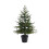 Everlands Potted Grandis Pre-Lit Artificial Christmas Tree 1