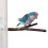 3lots Chewing Exercise Stick Pet Parrots Stand Solid Wood-15CM 7