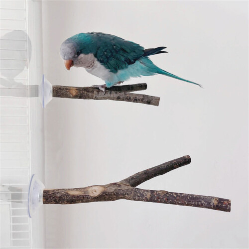 3lots Chewing Exercise Stick Pet Parrots Stand Solid Wood-15CM 2