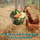 Space Efficient Detachable Chicken Feeder Basket Fit for Fruits 2