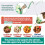 Interactive Cats Tumblers Slow Feeder with Teasing-Morandi fans 4