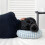 Revolutionary Pillow with Ear Hole for Side Sleeping,-Black 6