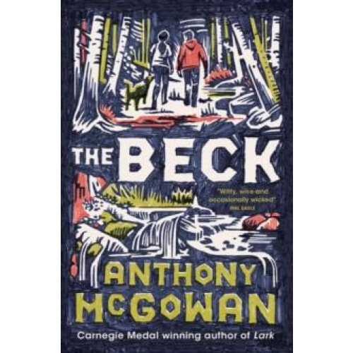 The Beck by Anthony McGowan Paperback Book